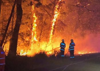 Currowan fire boosted by overnight winds as residents near Princes Highway told it is too late to leave