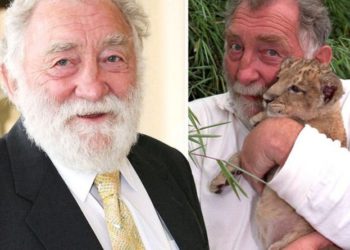 David Bellamy