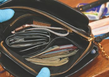 Orchids of Asia case: $425K in cash, lots in $100 bills, seized by police – News – The Palm Beach Post