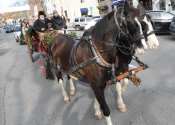 Holiday Stroll and other things to do in Greenwich