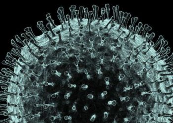 timeline of key events in coronavirus