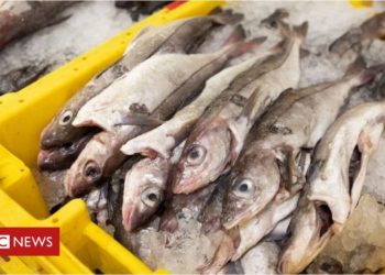 brexit mean for fishing