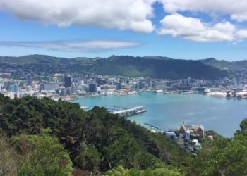 New Zealand may be COVID-free, but these other countries beat coronavirus first