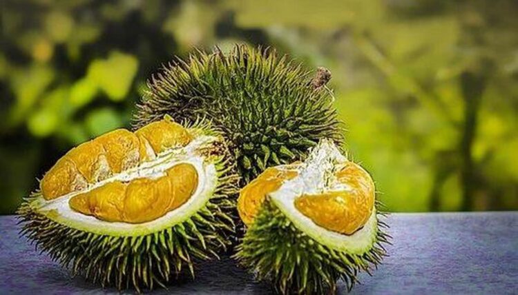 Foul smell from package stirs panic at German postoffice, cops find Durian fruit inside