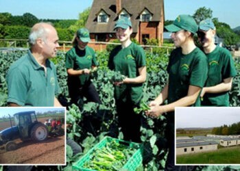73 workers catch Covid-19 at Herefordshire farm with 200 others forced to isolate on site