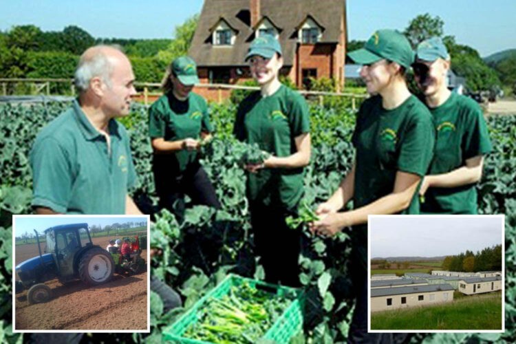 73 workers catch Covid-19 at Herefordshire farm with 200 others forced to isolate on site