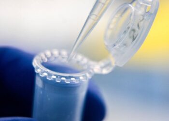 One of the world’s top COVID-19 vaccines is ‘stuck’ in customs—Is the delay deliberate? – Fortune