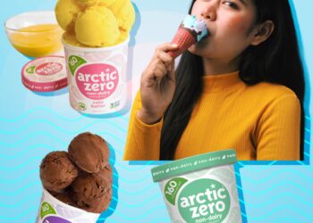 Arctic Zero Is Vegan Ice Cream Perfection – E! Online