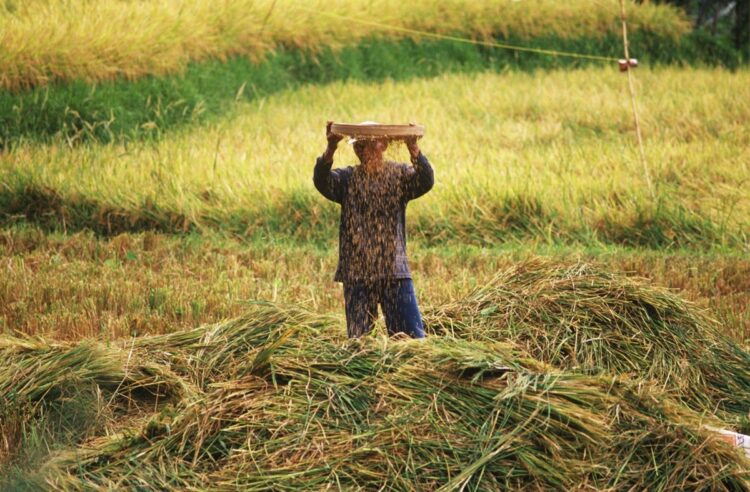 The greatest archipelago: What is the future of Indonesia?