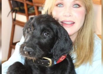 Bond girl Tanya Roberts is still alive, publicist confirms, Entertainment News