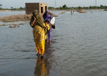 Fragile cities are being inundated with people fleeing the impacts of climate change. How can they cope? | News | Eco-Business