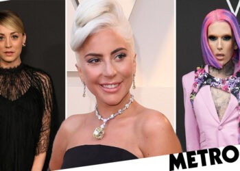 Lady Gaga dogs stolen: Kaley Cuoco and Jeffree Star support singer