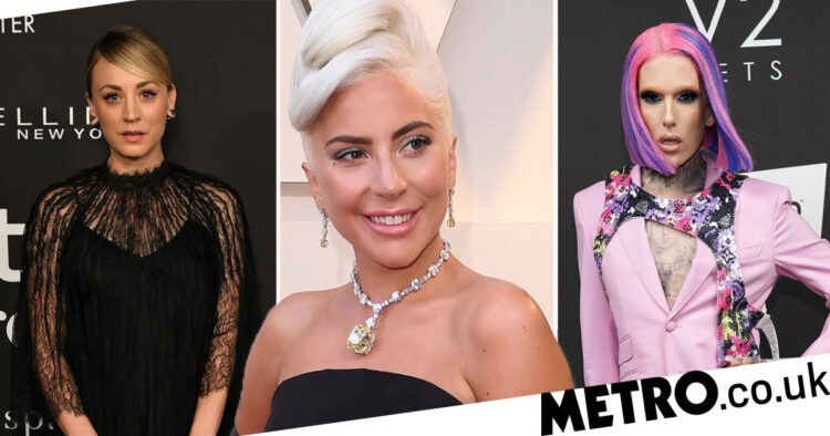 Lady Gaga dogs stolen: Kaley Cuoco and Jeffree Star support singer