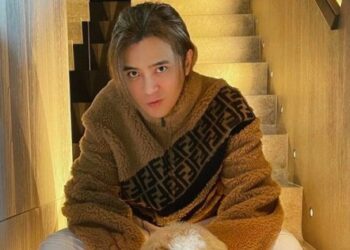 Show Lo gets backlash from Chinese netizens after buying 200 boxes of Taiwan pineapples, Entertainment News