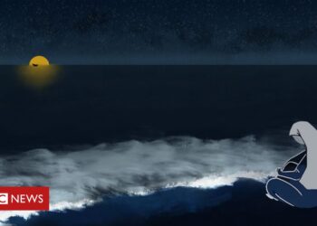 The Rohingya refugees trapped on a remote island miles from land – BBC News