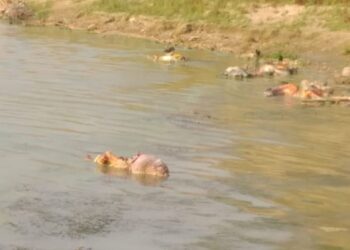 It is indeed a Government missing in action