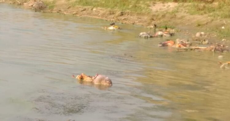 It is indeed a Government missing in action