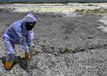 Sri Lanka fishing and tourism sectors drown in new crisis