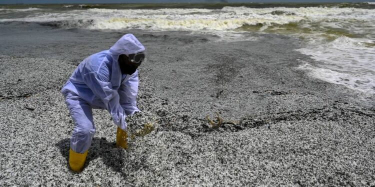 Sri Lanka fishing and tourism sectors drown in new crisis