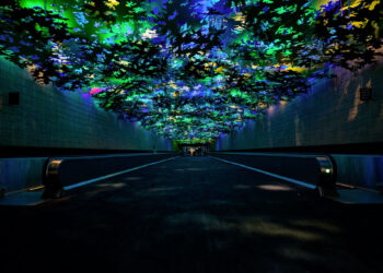 New Study Looks at the Important Role ‘Inspiration’ Plays in Consumer’s Lives