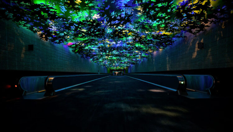 New Study Looks at the Important Role ‘Inspiration’ Plays in Consumer’s Lives