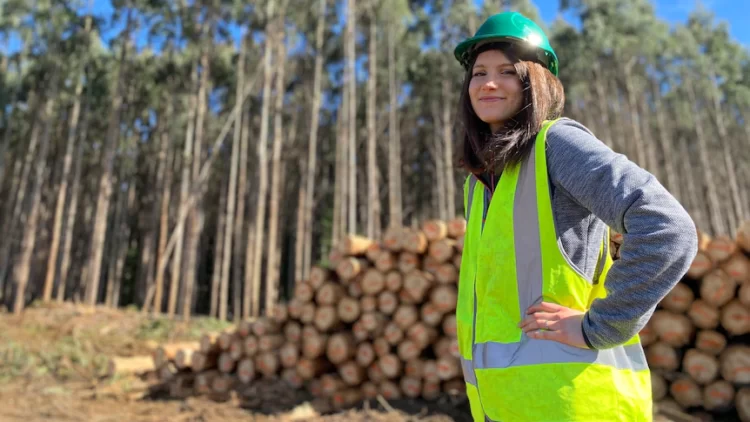 Worth more than woodchips? Finding another future for Tasmania’s eucalyptus nitens