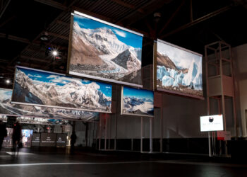 Art Institutions Aren’t Doing Enough to Lead on Climate Change. Here’s How the Industry Should Rethink Our Responsibility