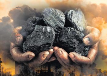 Adam Bandt: Why the Greens are pushing this election for a pause on all new coal and gas projects – The West Australian