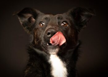 9 Good News Stories: Music Of The Soul; Record Summit; College Promise