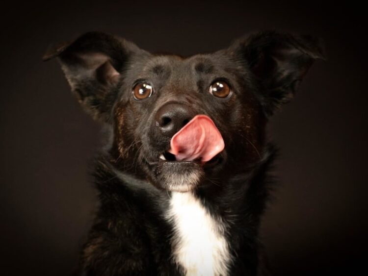 9 Good News Stories: Music Of The Soul; Record Summit; College Promise