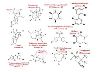 CEE Countries Provide Updates on Progress on SAICM Objectives | News | SDG Knowledge Hub