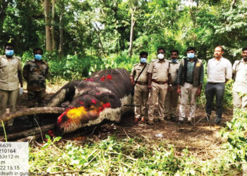 Asia’s longest tusked elephant Bhogeshwara dies