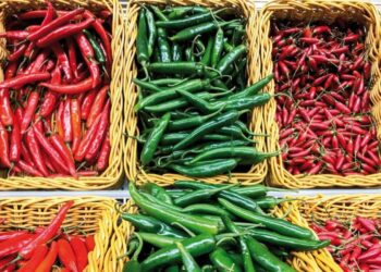 Rude Food by Vir Sanghvi: Colour and the chilli