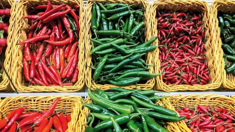 Rude Food by Vir Sanghvi: Colour and the chilli