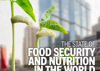 The State of Food Security and Nutrition in the World Report 2023: Urbanization, agrifood systems transformation and healthy diets across the rural–urban continuum – World
