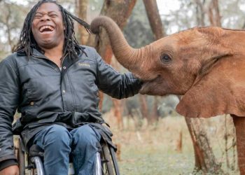 Changing Planet season 2 review: A glimpse of hope amid climate crisis. But is it enough?