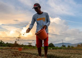 Leveraging Dirt: Soil as Southeast Asia’s Under-explored Solution for Carbon Mitigation and Food Security