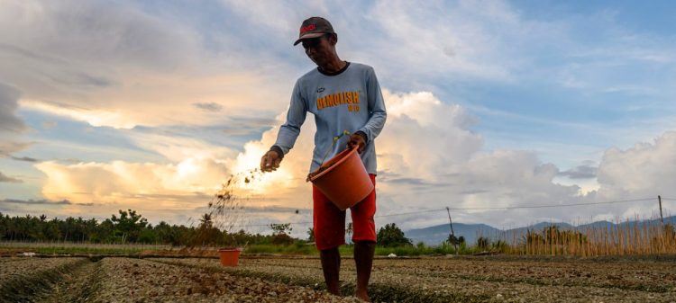 Leveraging Dirt: Soil as Southeast Asia’s Under-explored Solution for Carbon Mitigation and Food Security