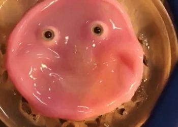 Japan scientists make smiling robot with ‘living’ skin