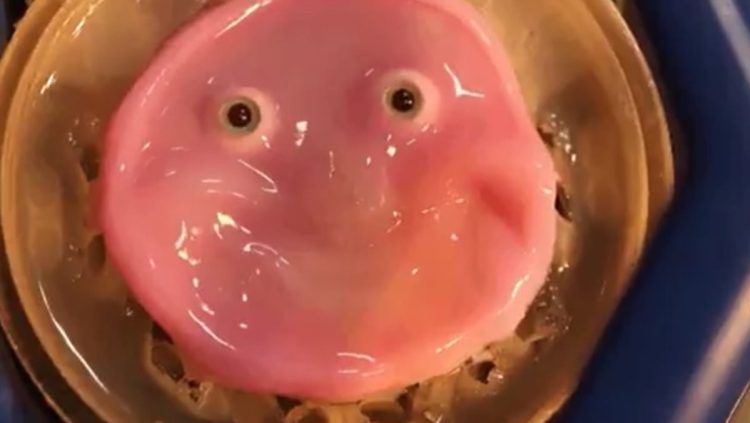 Japan scientists make smiling robot with ‘living’ skin